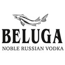 BELUGA